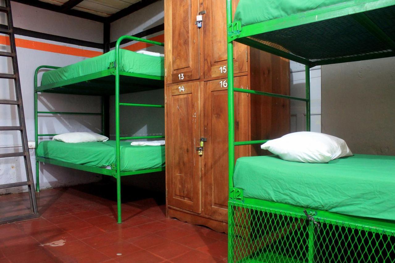 לאון Bigfoot Hostel מראה חיצוני תמונה